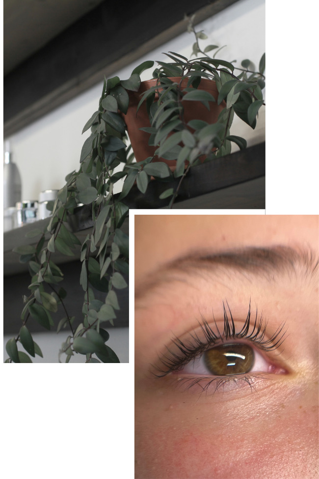 Lash Lift and tint with plants in the background